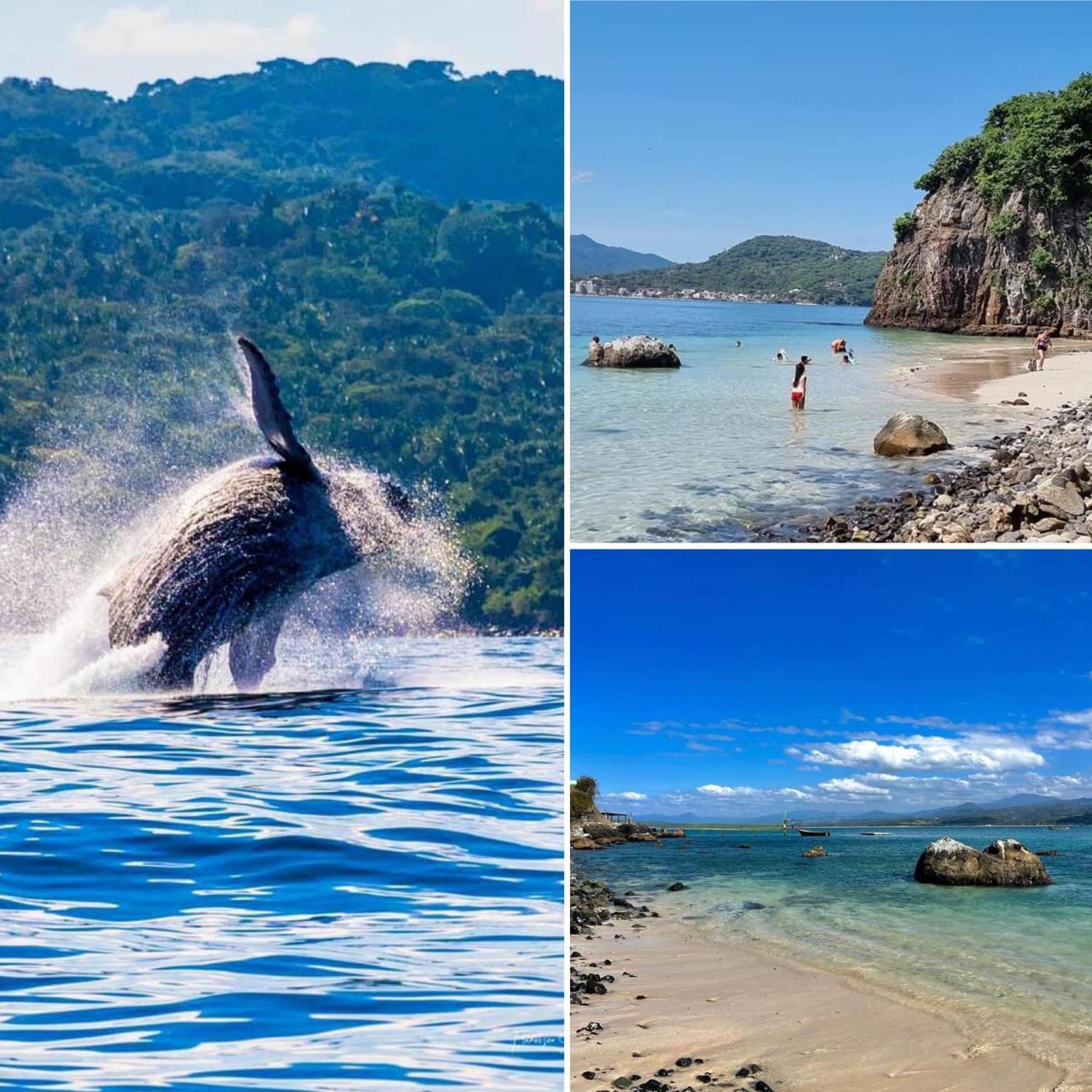 Bungalows Maria Teresa Rincon de Guayabitos Zewnętrze zdjęcie